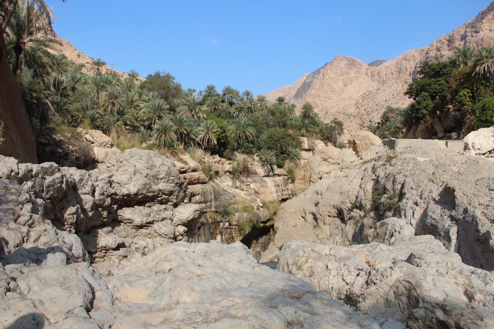 Wadi Shab Guest House Tiwi Exterior photo